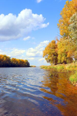 autumn landscape with river and treesの写真素材
