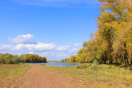 Autumn landscape with river an treesの写真素材