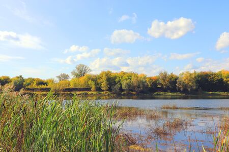 Autumn landscape with river and treesの写真素材