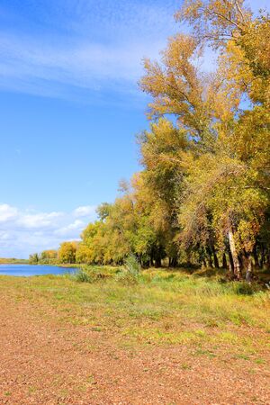 autumn landscape with river an treesの写真素材
