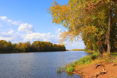 autumn landscape with river and treesの写真素材
