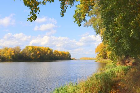 autumn landscape with river and treesの写真素材