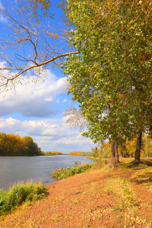 autumn landscape with river an treesの写真素材