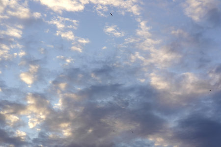 beautiful evening sky with cloudsの写真素材