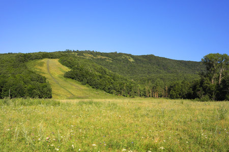 Beautiful summer landscape with  mountains field treesの写真素材