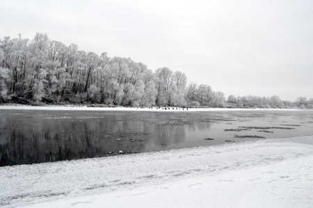 winter landscape with  river and trees frost coverの写真素材