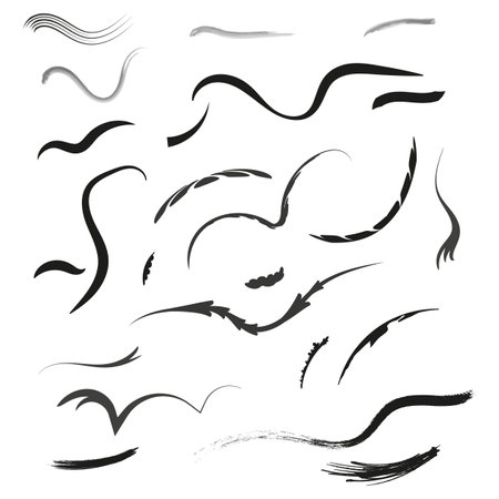 Abstract brush strokes. Artistic lines set. Black and white. Vector elements.のイラスト素材