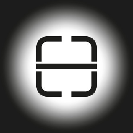 Code scanner icon. Black and white gradient. Minimalist design. Vector illustration.のイラスト素材