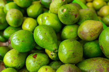 avocado fruit in the fruit and vegetable market