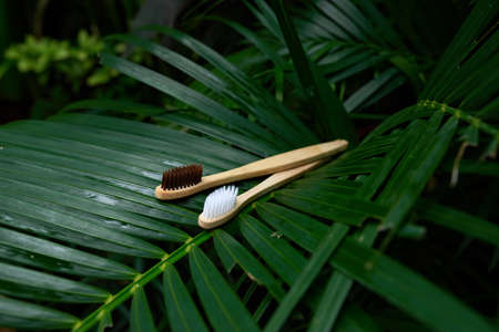 Personal hygiene product. Wooden toothbrushes on a large green leaf in the bushes.