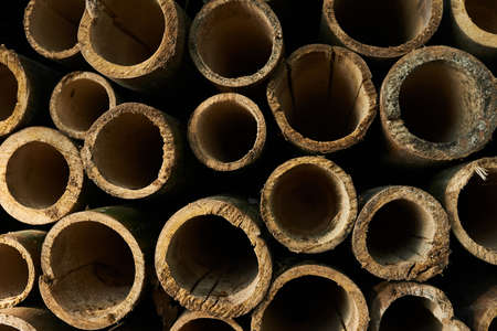 Pile of bamboo pole. Stack of round timber logs. Large batch of wooden logs for industrial scale or...