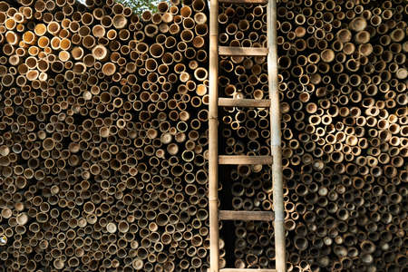 Pile of bamboo pole. Stack of round timber logs. Large batch of wooden logs for industrial scale or...