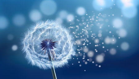 Dandelion scatters on a blue backgroundの素材