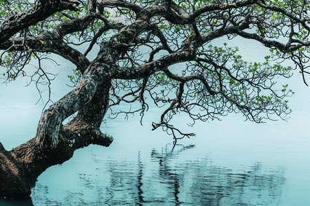 A majestic lone tree with green foliage standing in calm waters against a serene landscapeの素材
