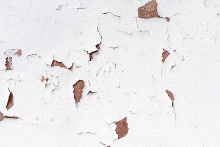 White background texture of cement painted wallの写真素材