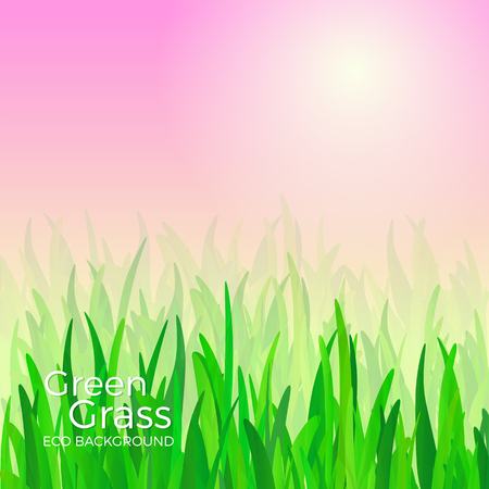 Green grass vector background illustration.のイラスト素材