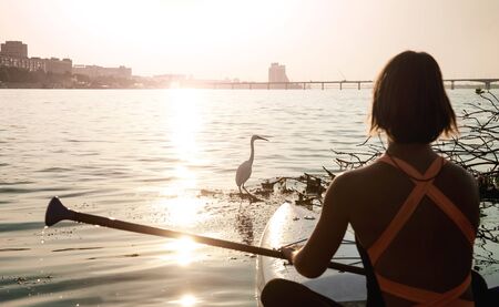 Unity with nature. Beautiful young woman sitting on a stand up paddle board. Watching the sunset. Bird silhouetteの写真素材