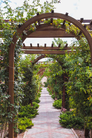 Wooden arch from plants over a path from a tile going into perspectiveの写真素材