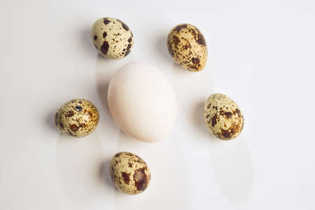 Several quail eggs and one chicken egg in the middle between them.