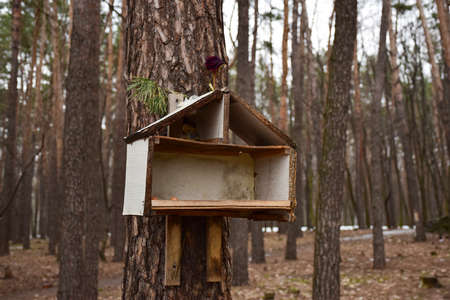 A homemade bird feeder from a cardboard box hangs on a branch in the park