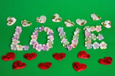 The word LOVE is lined with letters on a clean green background with colorful flowers at the bottom of the frame. Flowers from above lie in a lineの写真素材