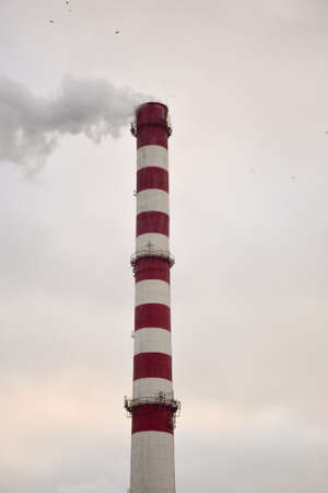 Steaming striped chimney of a plant or factory on a sky background