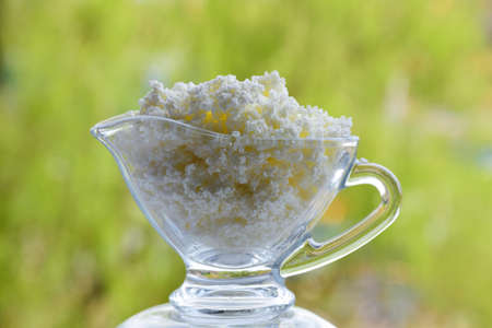 Cottage cheese in a small glass transparent bowl on a summer strongly blurred background of greenery