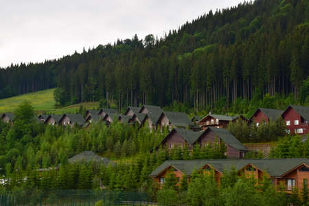Under the summer mountain there are rows of houses with green roofs. The slopes are overgrown with...