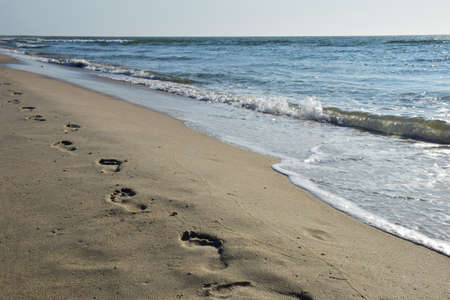 Human footprints on a sandy sea beach stretching into the distance.の写真素材