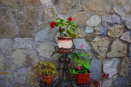 Three flower pots with different houseplants on the background of a wall with masonryの写真素材