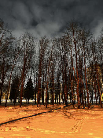 Winter evening park in the snow with a row of trees, the illumination of the city street and the...