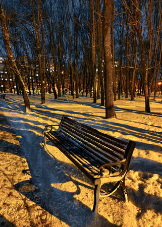In the winter evening park there is an empty bench on the snowの写真素材