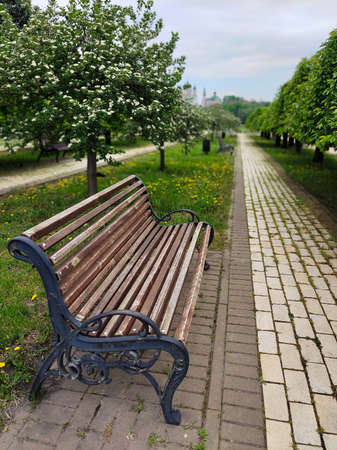 Bench in the park on the alley in perspective path for walking. The background is blurry