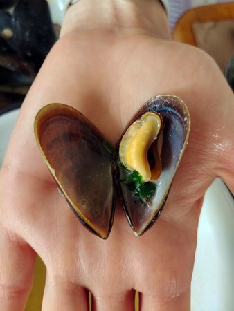 A close-up of a ready-to-eat open mollusc mussel on a woman's palm