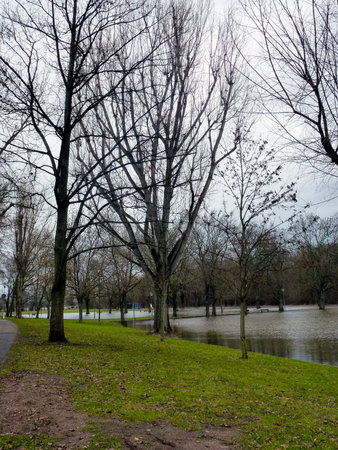 spring flood. The river overflowed its banks and spilled between the bare trees of the park. very gloomy weatherの写真素材