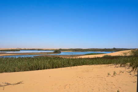 Small lakes in a desert oasis with green grass. Against the background of the blue skyの写真素材