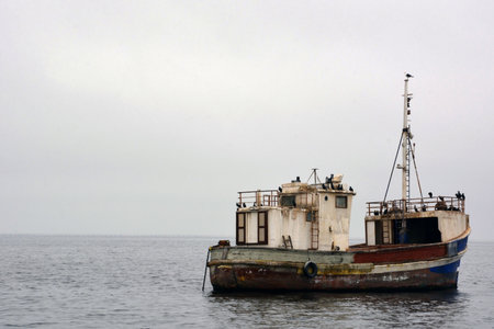 An old fishing boat floats on the sea water with many seagulls on board. People are not visible. The...