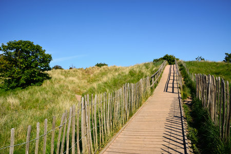 Wooden empty path up the hill with a simple handmade handrail in perspectiveの写真素材