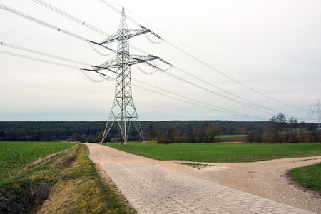 Power line poles above dirt roads in perspective on agricultural fields. There is a forest in the...