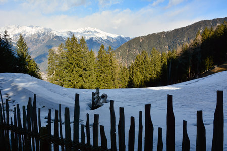 Behind a wooden fence, snow-covered slopes of winter mountains covered with forests and illuminated by the sun under a clear skyの写真素材