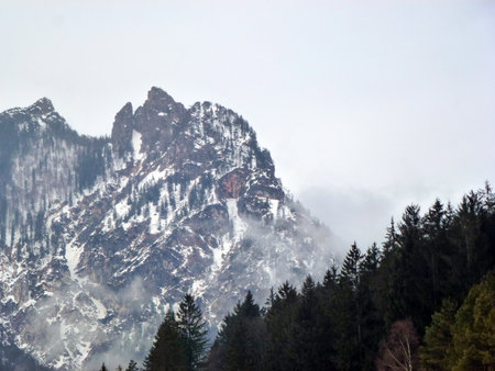 Big spruce trees on the background of snowy mountains and bright sky. Wonderful winter landscapeの写真素材