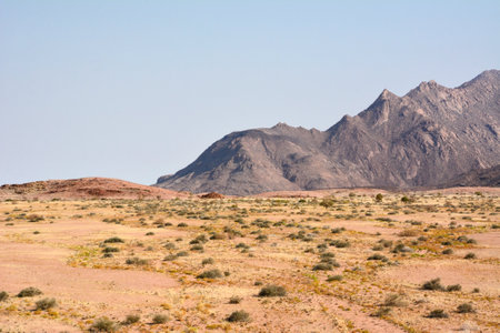 Arid sandy desert with rare shrubs. Small mountains are in the background. Natural landscape reserve. The wild natureの写真素材