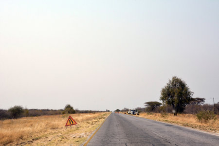 Perspective view of an asphalt road in the desert, on which the road is being repaired and warning signs are postedの写真素材