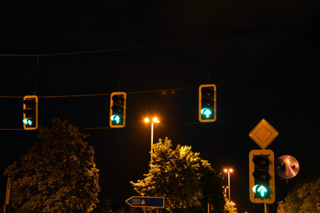 Several traffic lights with enabling green light hang over the night city road against the background of dark sky and treesの写真素材