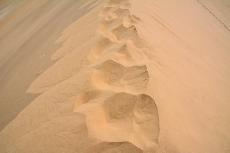 On the dry sand of the desert, you can see the prints of someone's feet. Top view. Hot summer landscapeの写真素材
