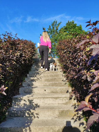 A blonde woman climbs the stone stairs in perspective with a Jack Russell terrier dog. View from...
