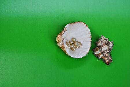 Pearls and shells  Artificial jewelry composition on a green background の写真素材