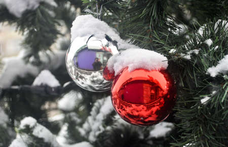 Red ball decorates the twig Christmas trees, covered with snow, on the street.の写真素材