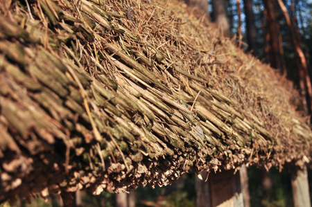 Texture thatched roof. The roof is dry grass - tradition in some parts of the world.の写真素材