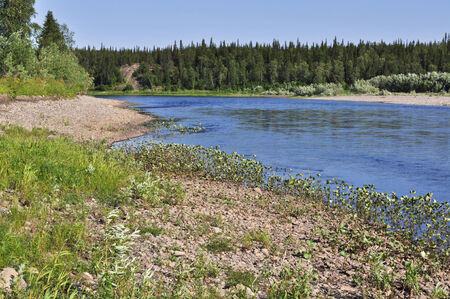 North river landscape. Summer landscape of one of the rivers of the Northern slope of the Polar...